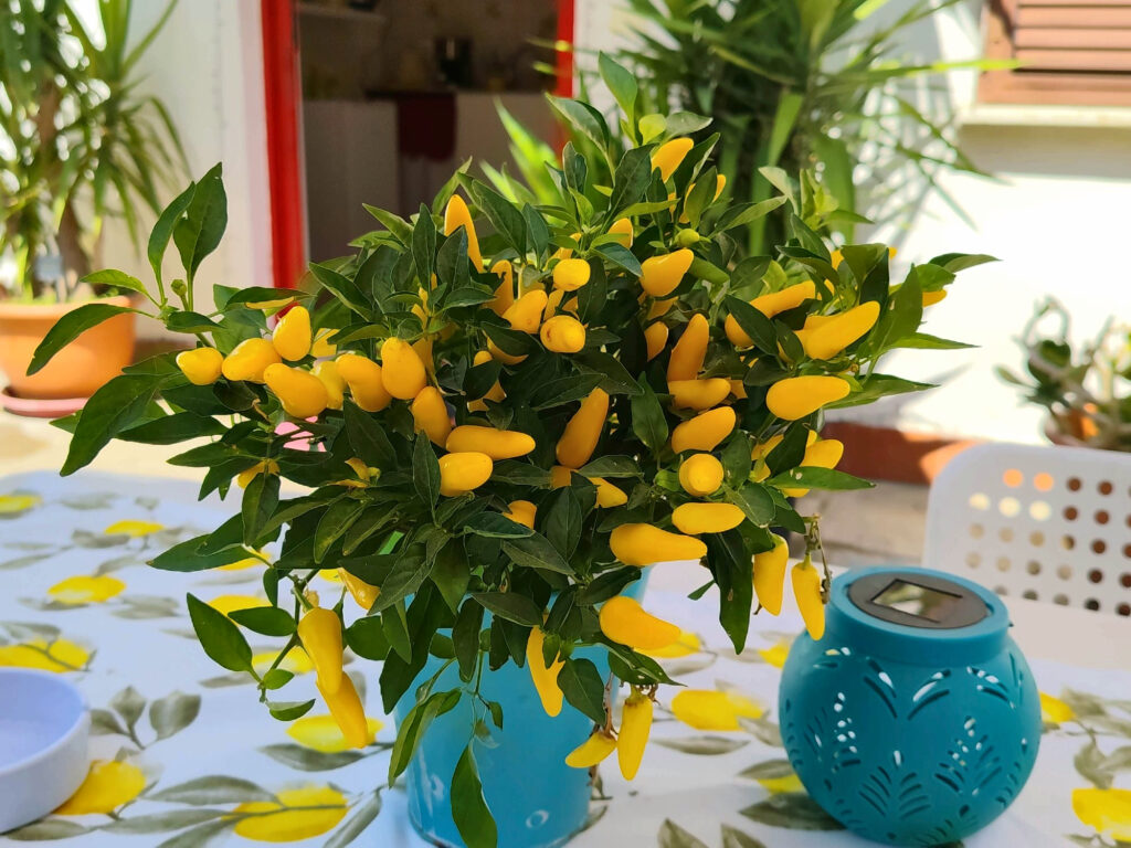 Dettaglio degli ambienti del B&B